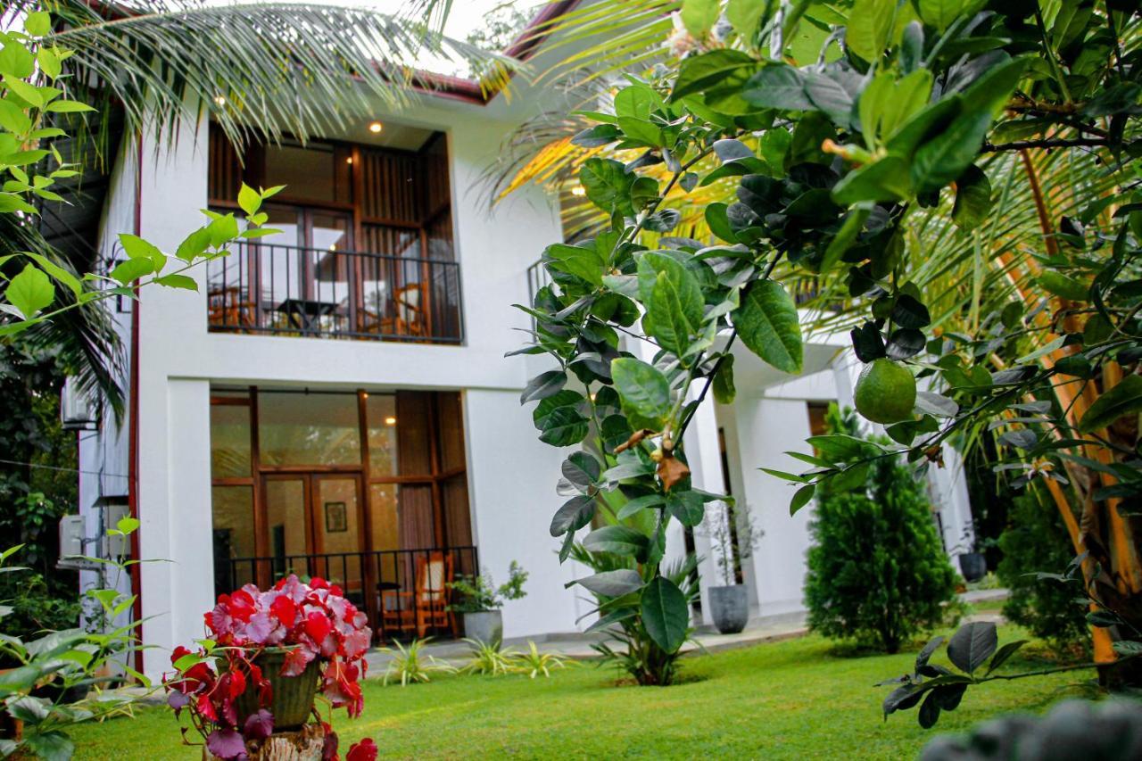 Manike Lodge Habarana Dış mekan fotoğraf